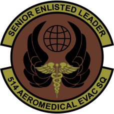 Image for 514 AES Senior Enlisted Leader OCP Patch