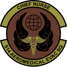 Image for 514 AES Chief Nurse OCP Patch