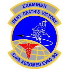 Image for 934 AES Examiner Full Color Patch