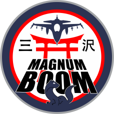 Image for 35 OSS Magnum Weasel Tori Gate & F-16 Patch