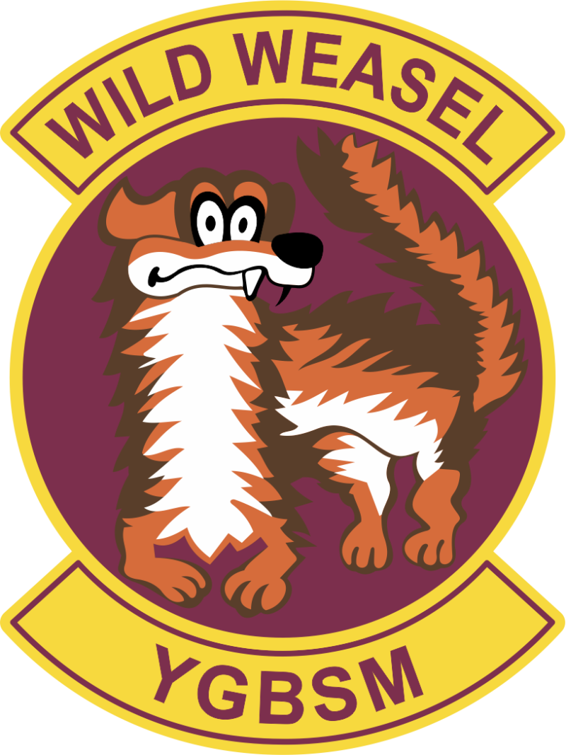 35 OSS Wild Weasel YGBSM Patch