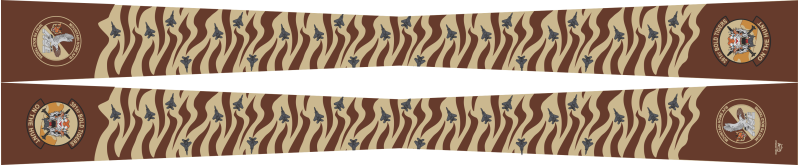 391 FS Desert Flight Scarf 2025, Mountain Home AFB