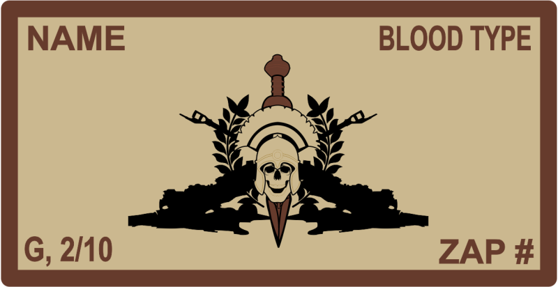 USMC 2D 10th MAR Desert Name Tag