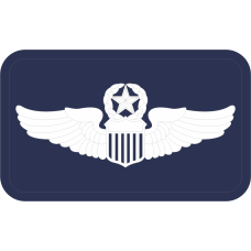 Image for Command Pilot Navy Occupational Device