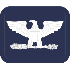 Image for Left Facing Colonel Navy Occupational Device