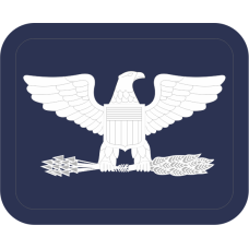 Image for Right Facing Colonel Navy Occupational Device