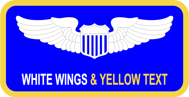 1 ACCS Blue Name Tag 