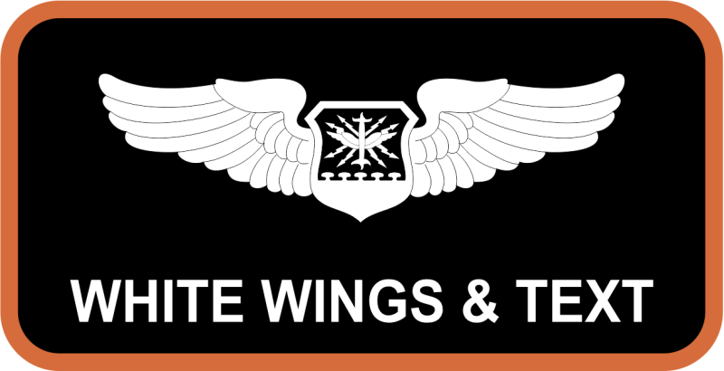 338 CTS Instructor Name Tag