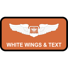 Image for 338 CTS Name Tag