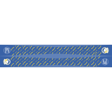 Image for 1 ACCS Flight Scarf 2023, Offutt AFB