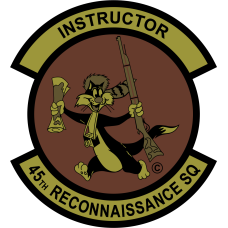 Image for 45 RS OCP Patch Instructor