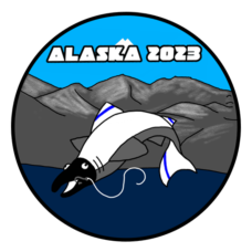 Image for 97 IS Alaska 2023 Patch