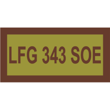 Image for 343 RS LFG 343 SOE OCP Pocket Tab