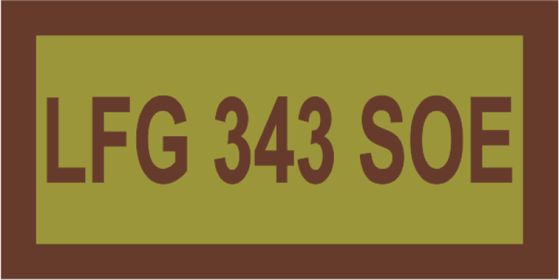 343 RS LFG 343 SOE OCP Pocket Tab