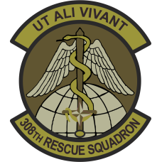 Image for 308 RQS Green Patch