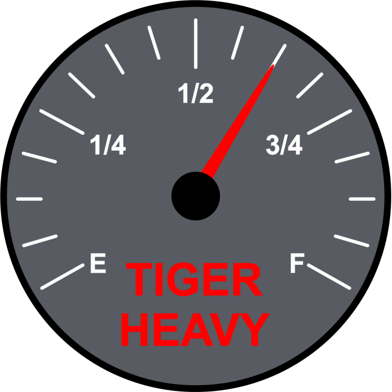 1 FTS Tiger Heavy Patch