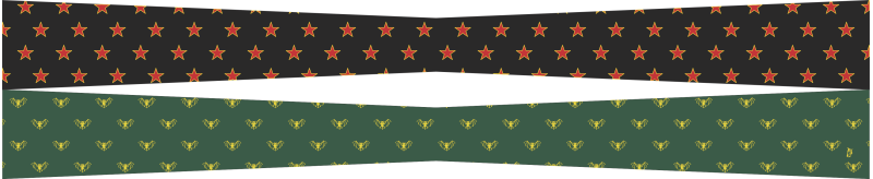 IX B FLight Scarf, RAF Lossiemouth
