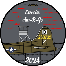Image for 100 ARW Exercise Aw-R-Go 2024 Patch