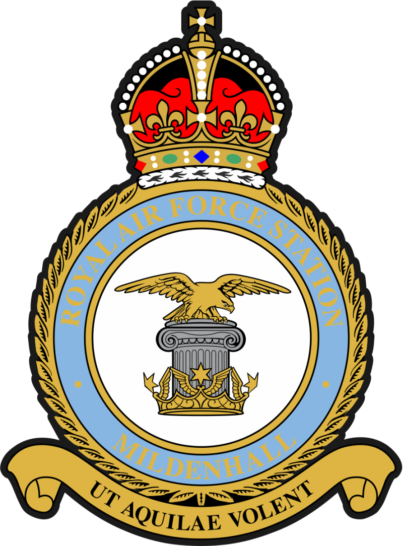 351 ARS King's Crown Patch 4"