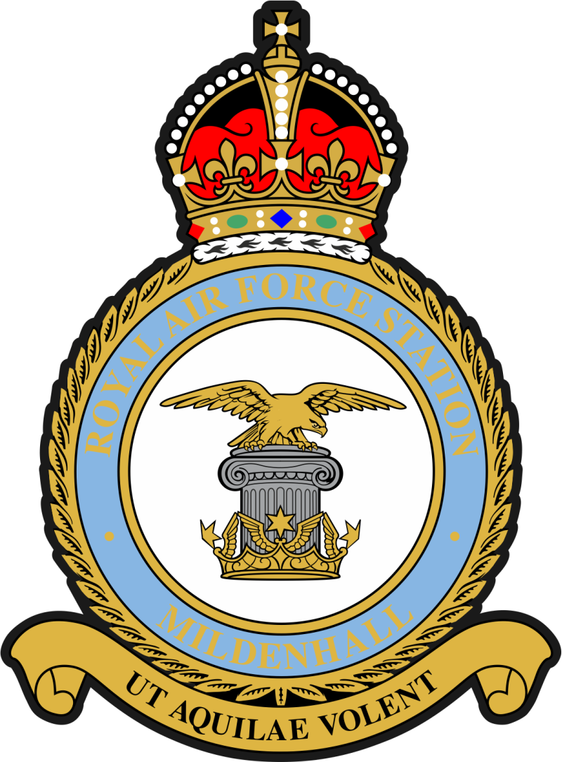 351 ARS King's Crown Patch 5"