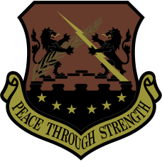 Image for 100 ARW OCP Patch