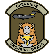 Image for 10 EAEF Operation Enduring Bravo Patch