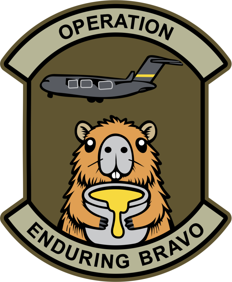 10 EAEF Operation Enduring Bravo Patch