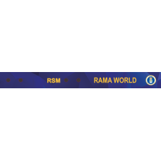Image for RSM Bag Tag, Randolph AFB