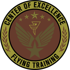 Image for Det 24 PTN Center Of Excellence OCP Patch