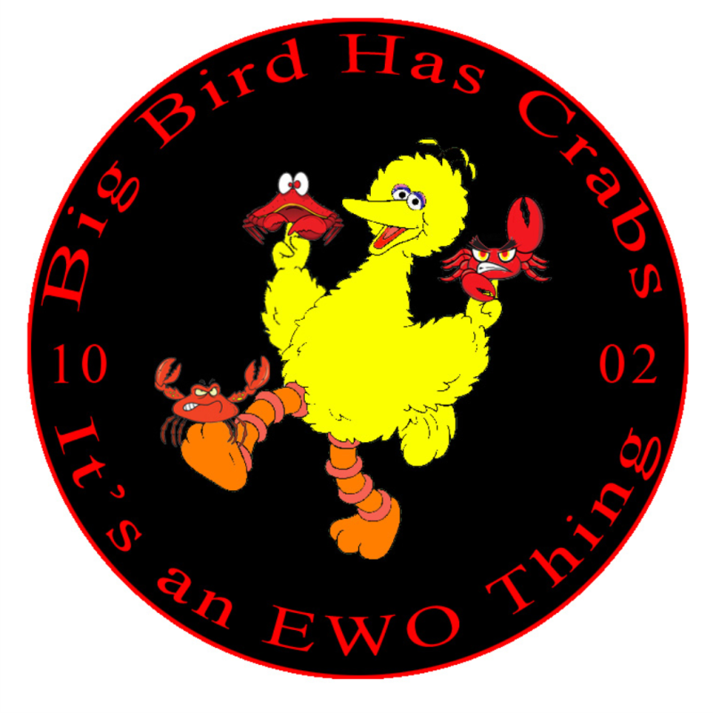 Class 10-02 Big Bird Patch