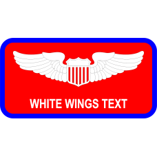 Image for 18 ACCS Name Tag