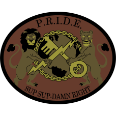 Image for 378 ELRS P.R.I.D.E. OCP Patch