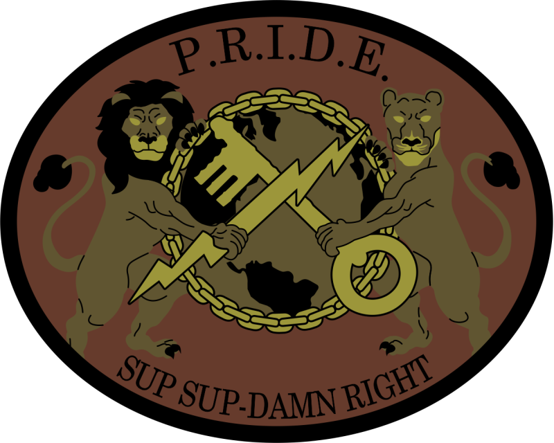 378 ELRS P.R.I.D.E. OCP Patch