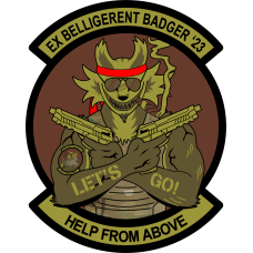 Image for 375 AES Ex Ballistic Badger OCP Patch 