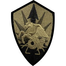 Image for USTRANCOM Pegasus OCP Patch