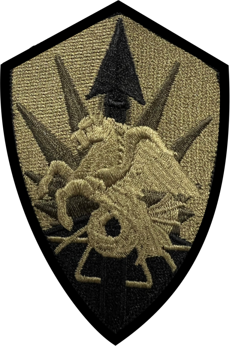 USTRANCOM Pegasus OCP Patch