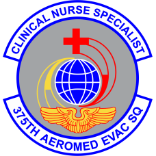Image for 375 AES Clinical Nurse Specialist Full Color Patch