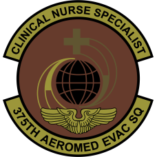 Image for 375 AES Clinical Nurse Specialist OCP Patch