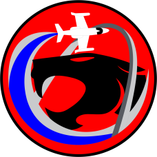 Image for 458 AS C-21 Cougar Patch