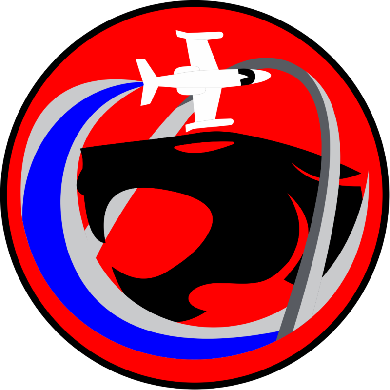 458 AS C-21 Cougar Patch