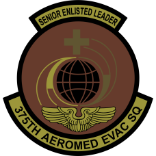 Image for 375 AES Senior Enlisted Leader OCP Patch