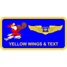 Image for 334 FS Boxing Eagle Name Tag