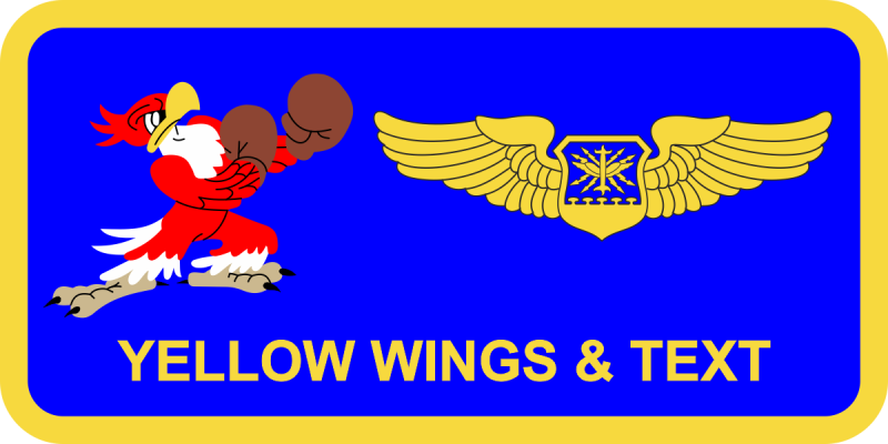 334 FS Boxing Eagle Name Tag