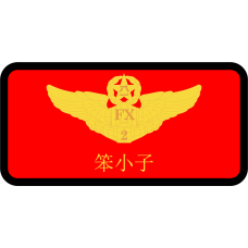 Image for 335 FS Chinese Name Tag