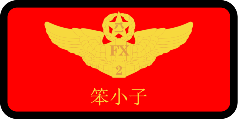 335 FS Chinese Name Tag