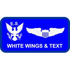 Image for 4 FW Name Tag