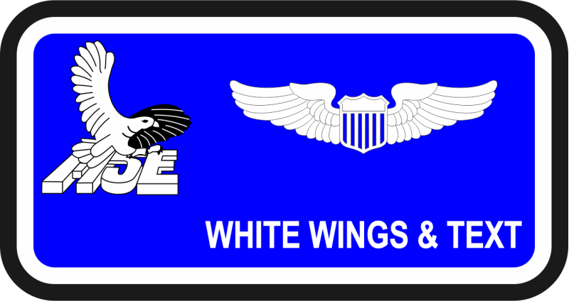 4 TS F-15E Eagle Name Tag