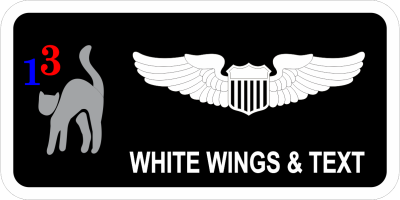 4 TS 13 Gray Cat Name Tag