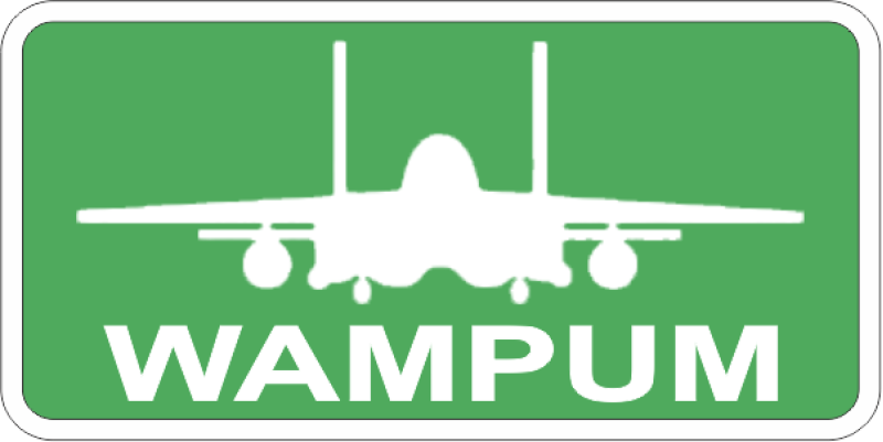 335 FS WAMPUM F-15 Pocket Tab