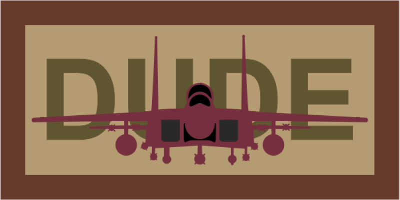 335 FS Dude F-15 Desert Pocket Tab